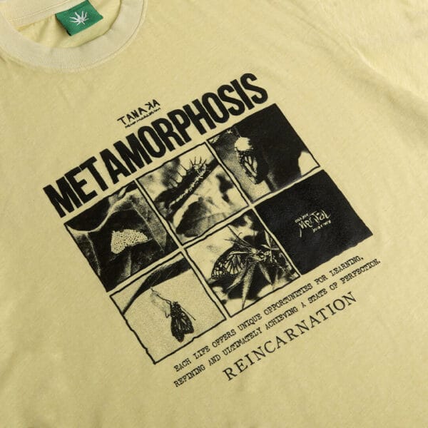 Tanaka Metamorphosis Tee Omelette (4)